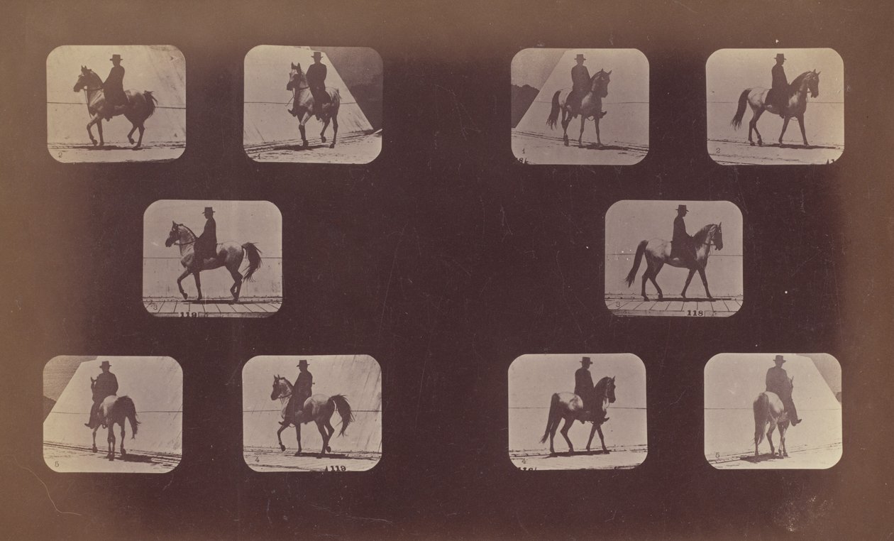 Studies of Foreshortenings. Horses. Walking. Mahomet. Nos. 119-120, 1879 by Eadweard Muybridge