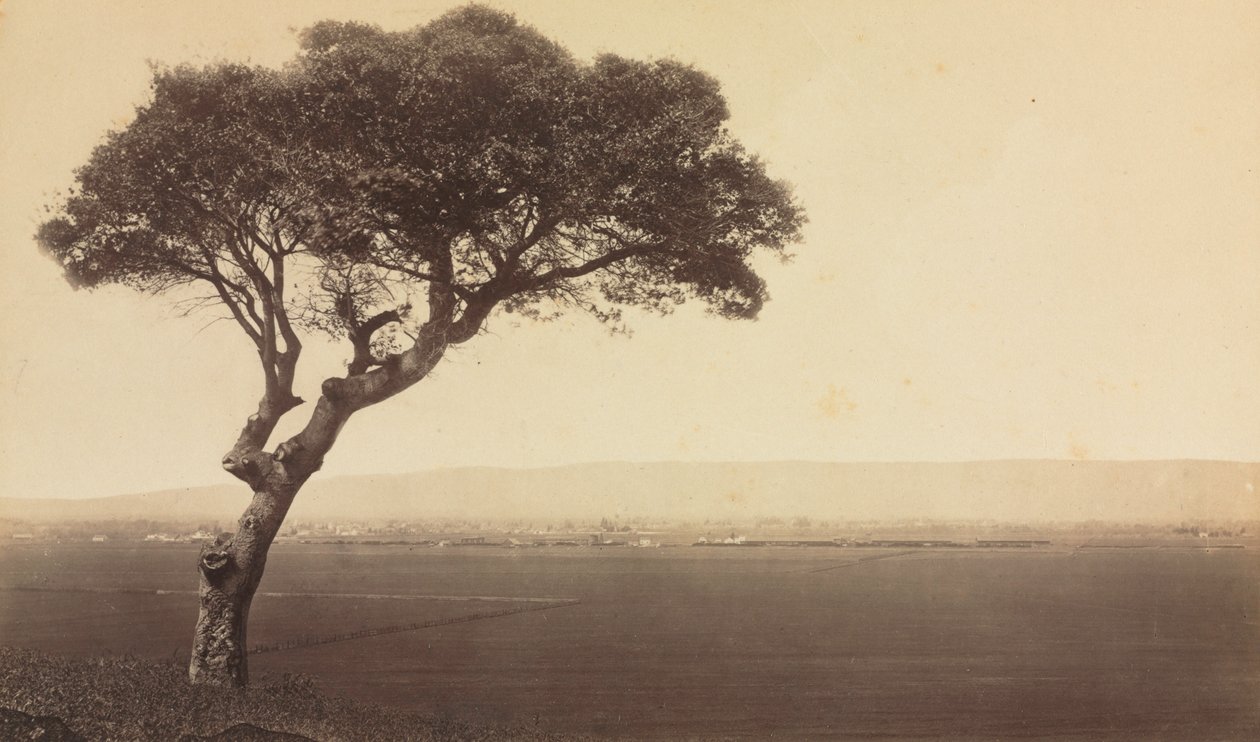 Untitled Landscape near Watsonville, California by Eadweard Muybridge