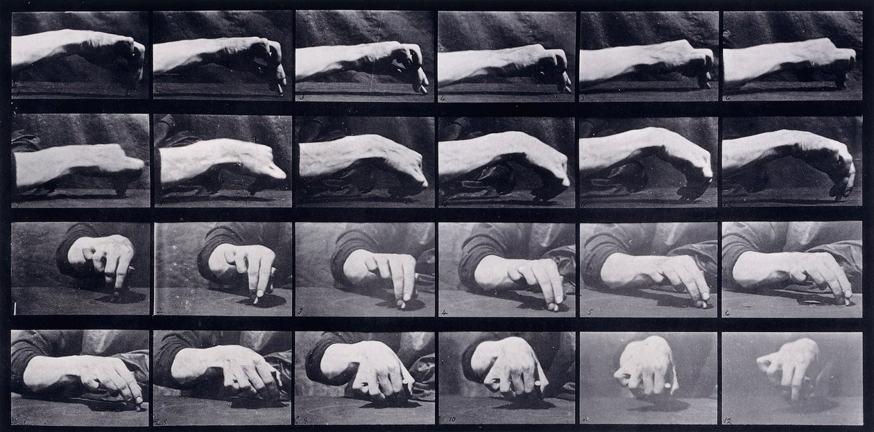 A Motion Study of a Hand by Eadweard Muybridge