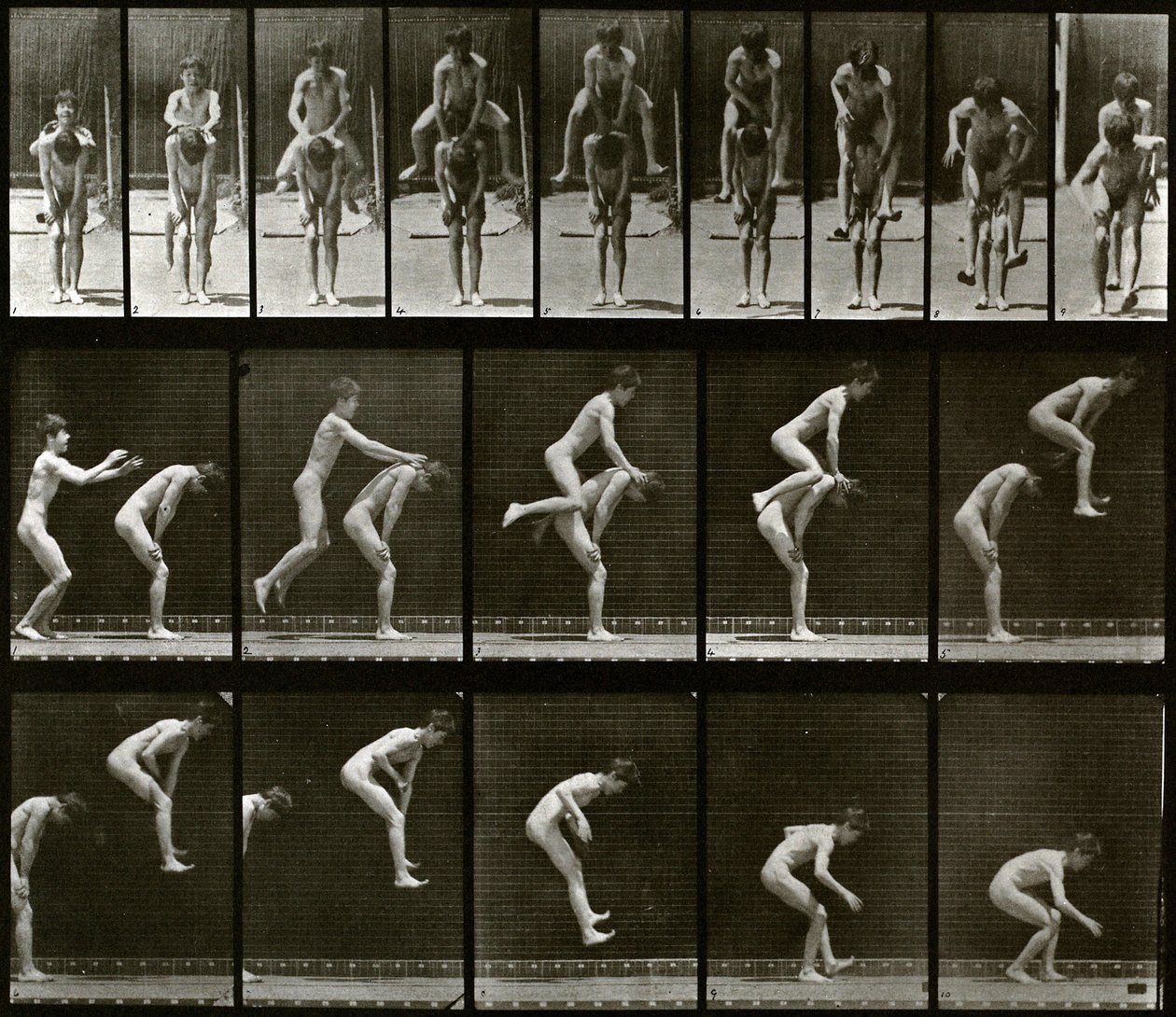 Animal Locomotion by Eadweard Muybridge