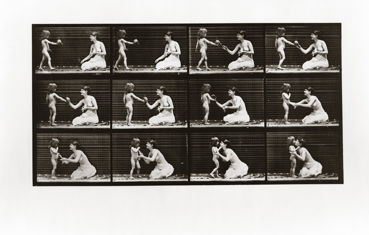 Child bringing bouquet to a woman, Plate 465 from Animal Locomotion by Eadweard Muybridge