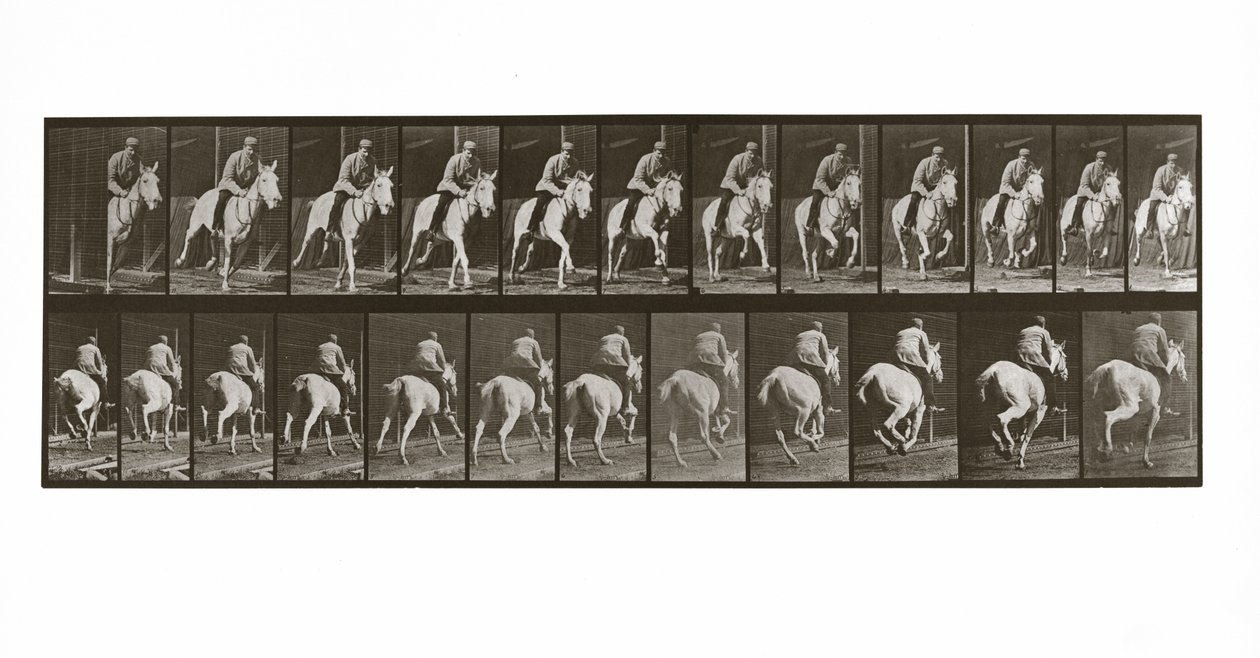 Galloping Horse with Rider, Plate 635 from Animal Locomotion by Eadweard Muybridge