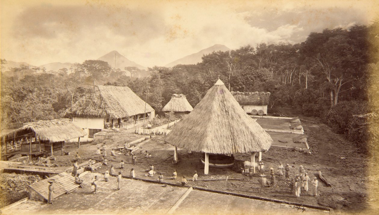 Hacienda William Nelson, San Isidro, Guatemala by Eadweard Muybridge