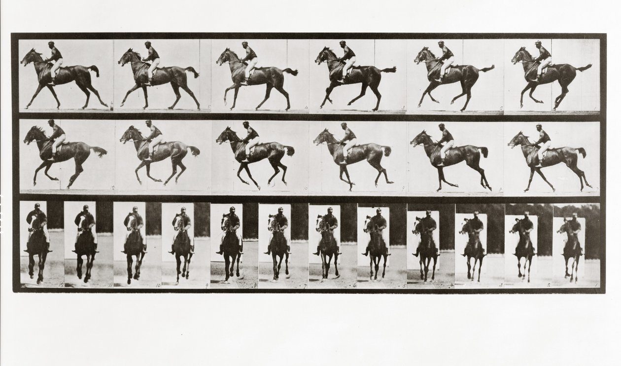 Horse and Rider, Plate 621 from Animal Locomotion by Eadweard Muybridge