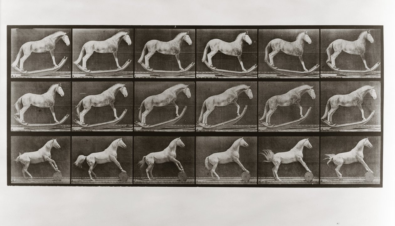 Horse on Rockers and Horse Rolling a Barrel, Plate 649 from Animal Locomotion by Eadweard Muybridge
