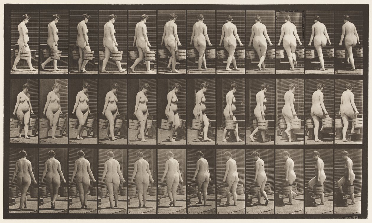 Turning to Ascend Stairs, Bucket of Water in Each Hand by Eadweard Muybridge