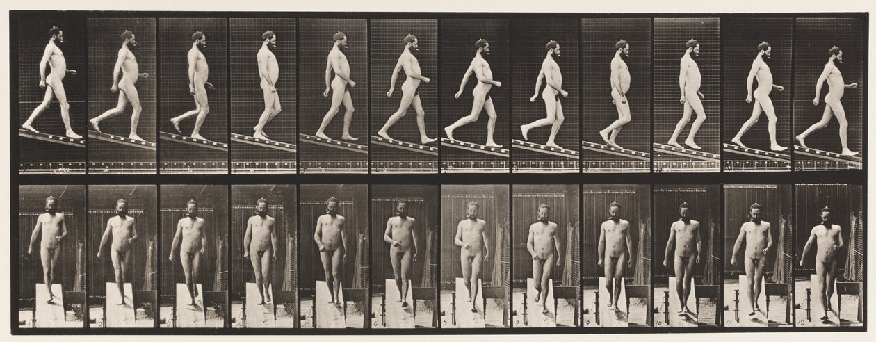 Descending Incline, 1 in 4 by Eadweard Muybridge