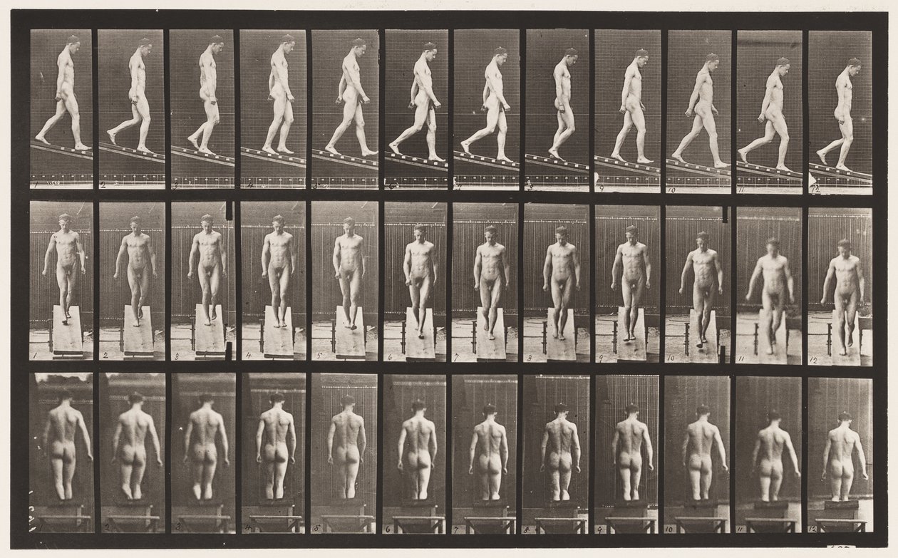 Plate 114. Descending Incline, Angle 1 in 4 by Eadweard Muybridge