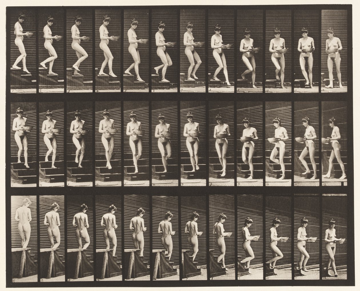 Plate 144. Descending Stairs, Turning Basin in Hands by Eadweard Muybridge