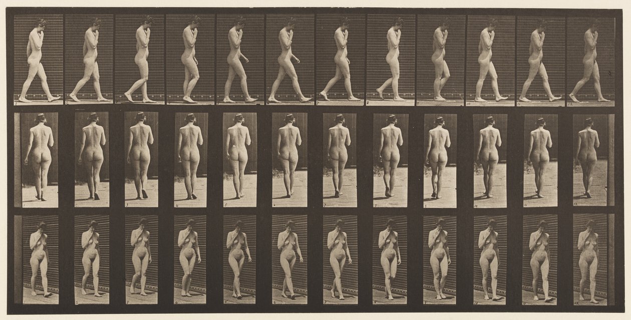 Plate 14. Walking, Right Hand at Chin by Eadweard Muybridge