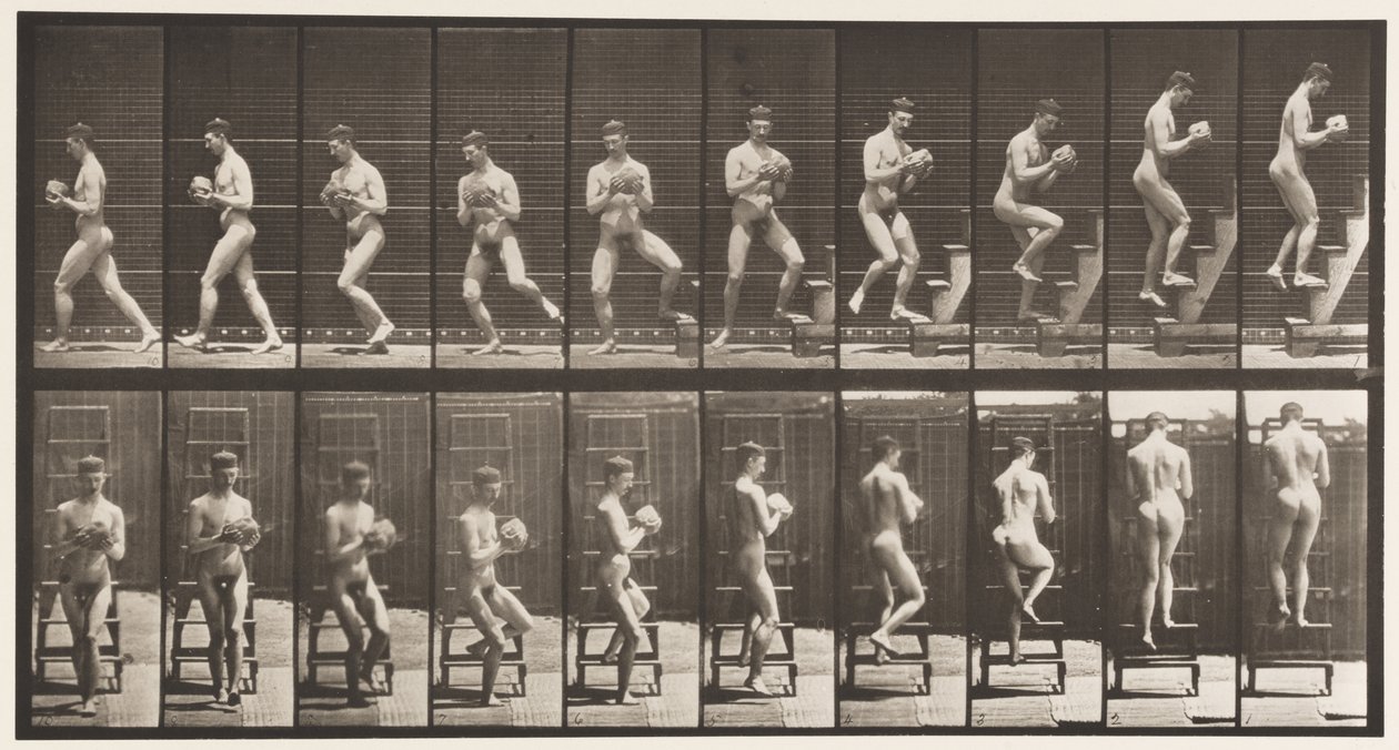 Plate 151. Descending Step Ladder, Turning Around, Rock in Hands by Eadweard Muybridge