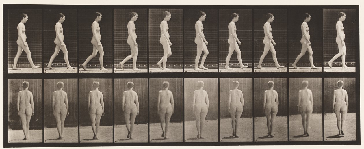 Plate 15. Walking by Eadweard Muybridge