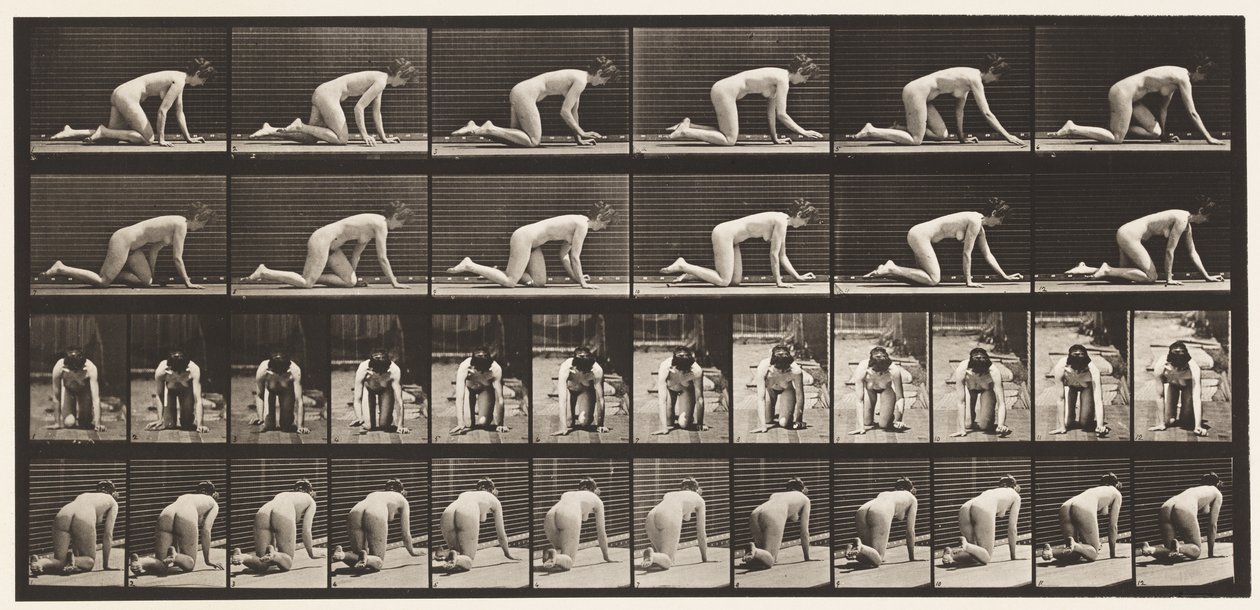 Plate 182. Crawling On Hands and Knees by Eadweard Muybridge