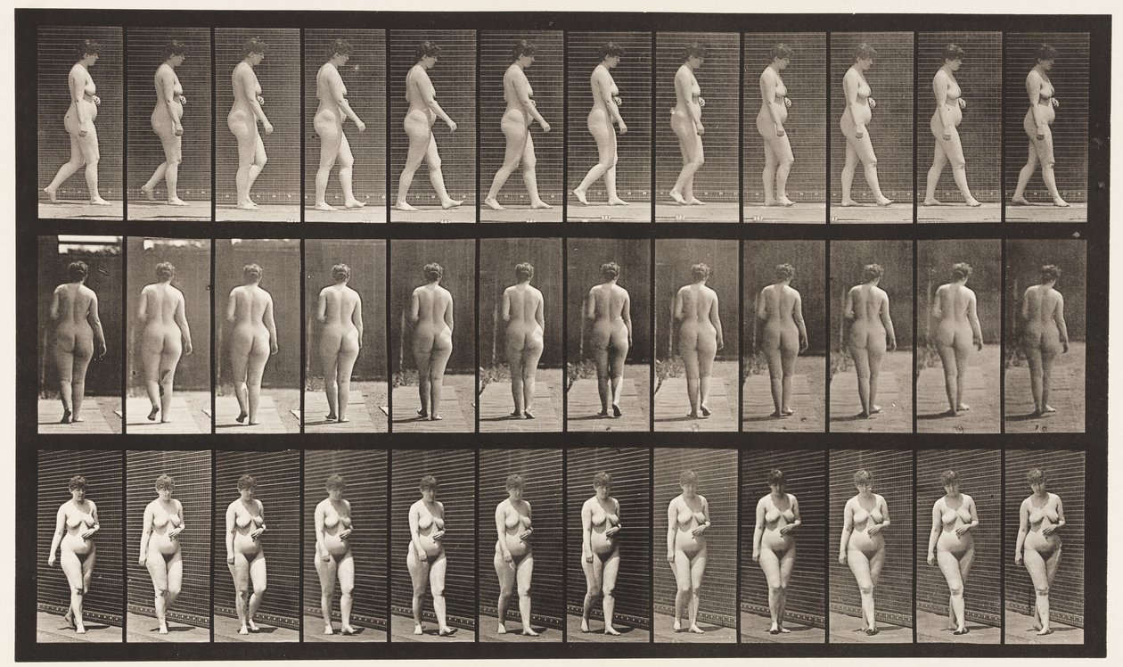 Walking, Left Hand Across Abdomen by Eadweard Muybridge