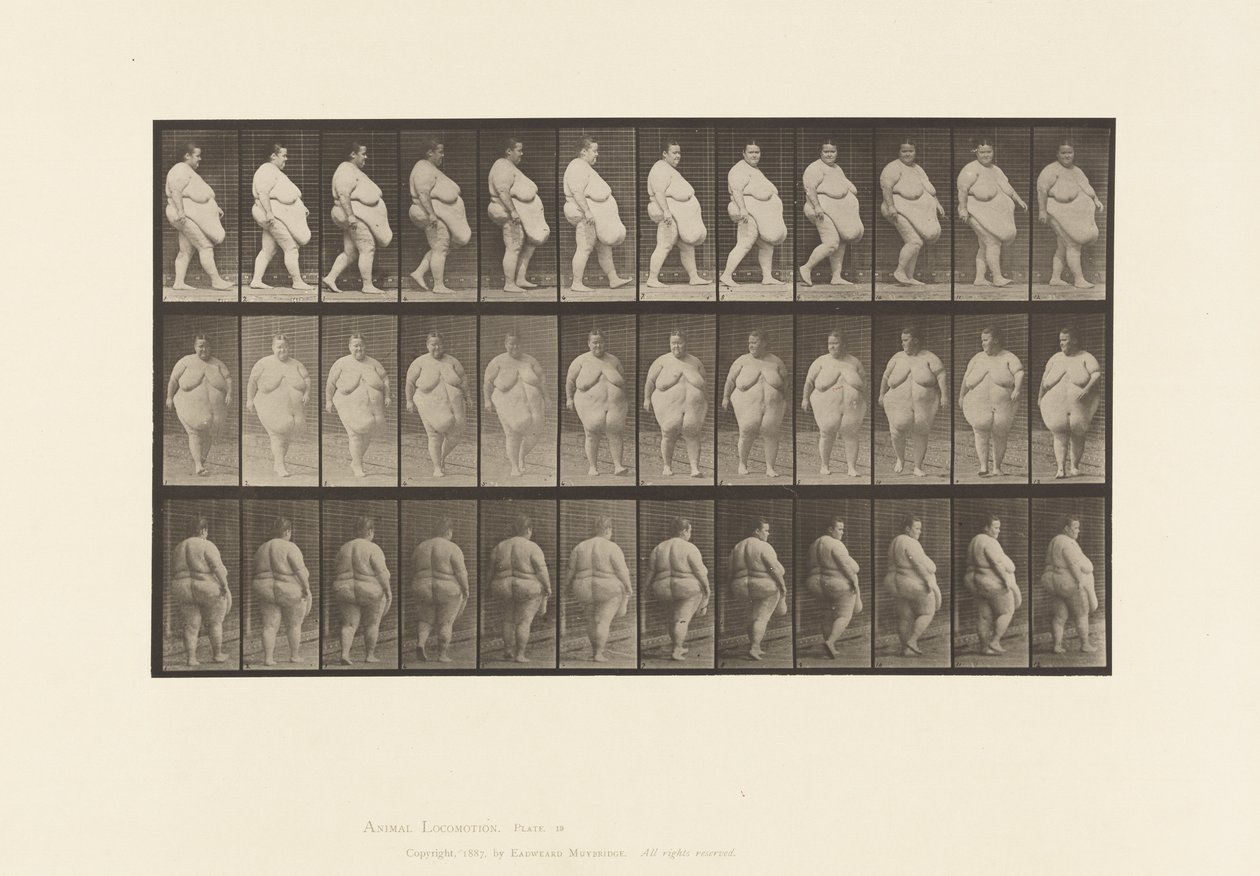 Walking, Commencing to Turn Around (Plate 19) by Eadweard Muybridge