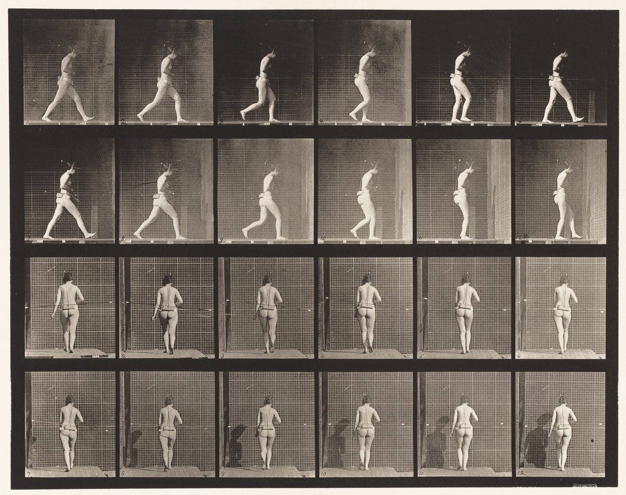 Walking, Right Elbow Bent by Eadweard Muybridge