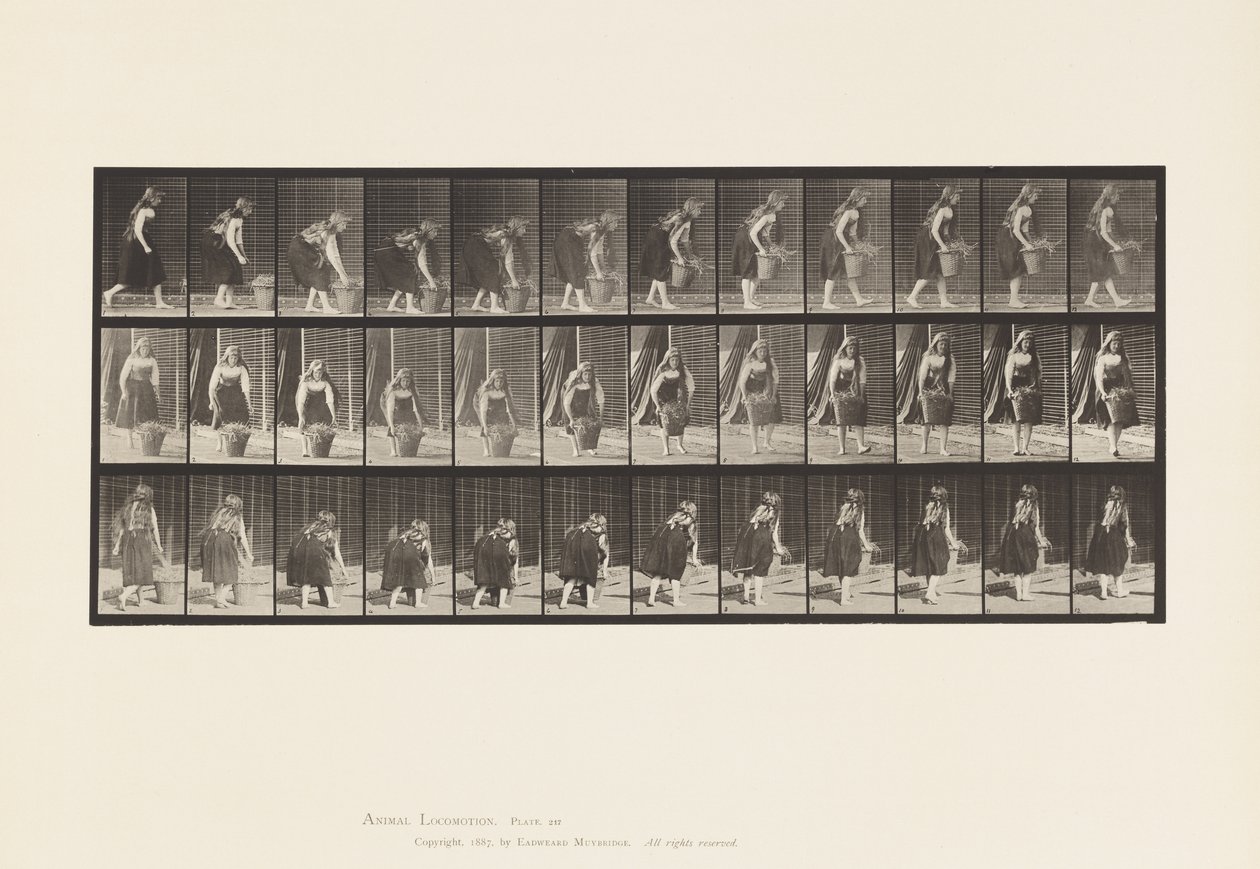 Stooping, Lifting and Carrying 30 lb Basket, 1885 by Eadweard Muybridge