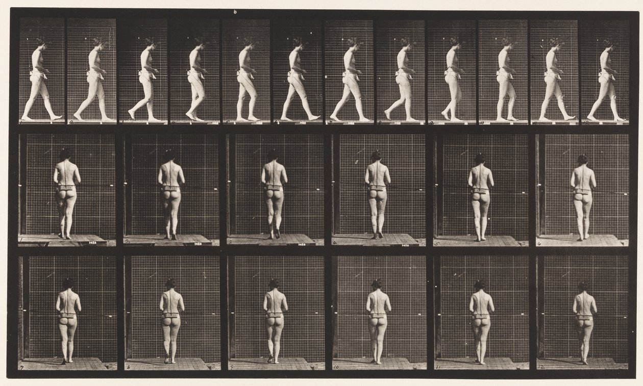 Plate 21. Walking, Both Elbows Bent by Eadweard Muybridge