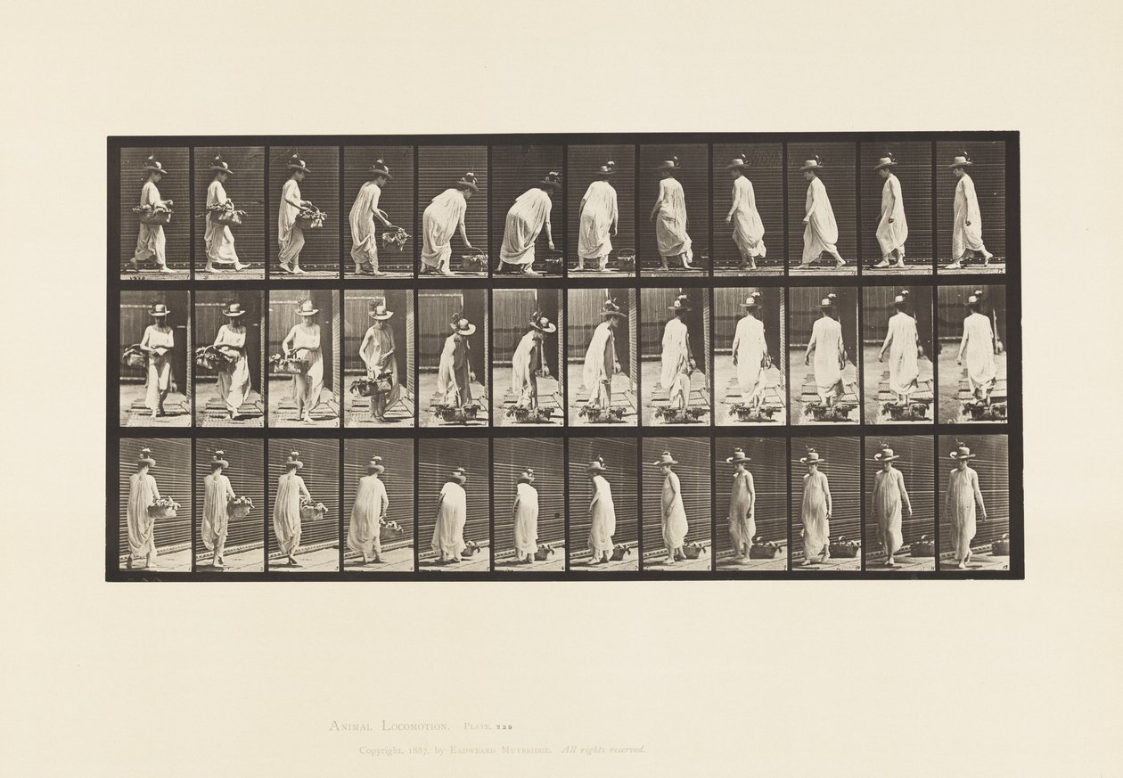 Plate 229. Placing Basket on the Ground and Turning by Eadweard Muybridge