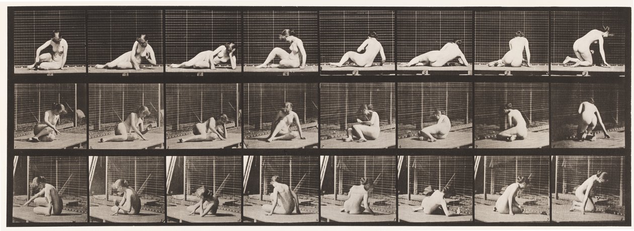 Plate 266. Turning and Changing Position While Still on the Ground by Eadweard Muybridge