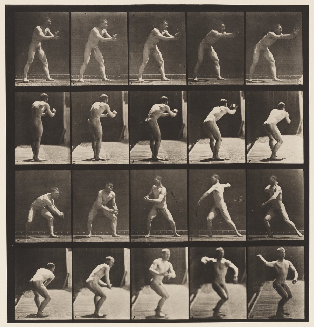 Base-ball; Catching and Throwing by Eadweard Muybridge