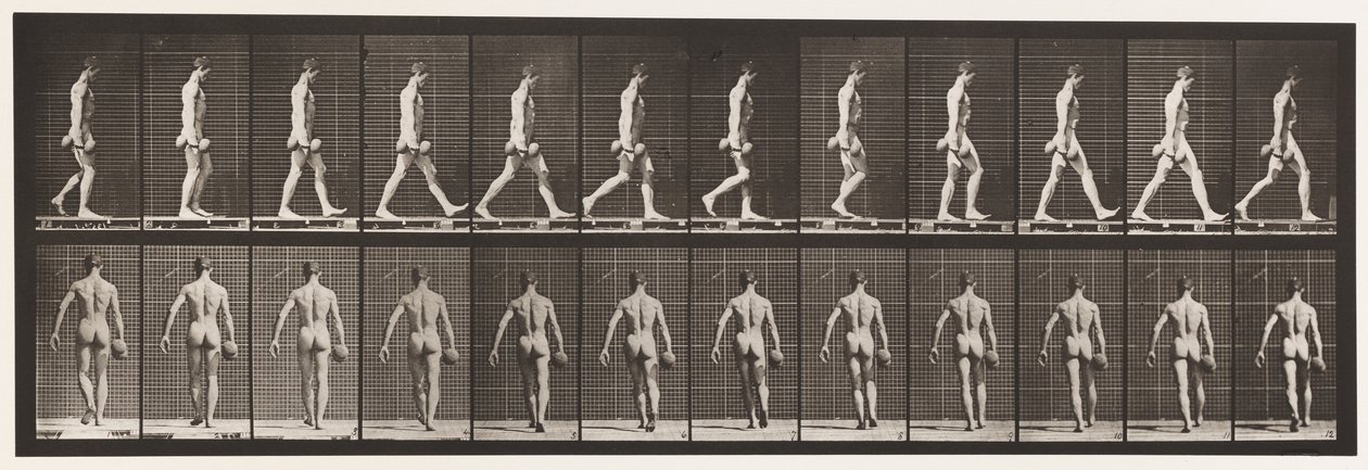 Plate 28. Walking, Carrying 50 lb. Dumb-Bell in Right Hand by Eadweard Muybridge