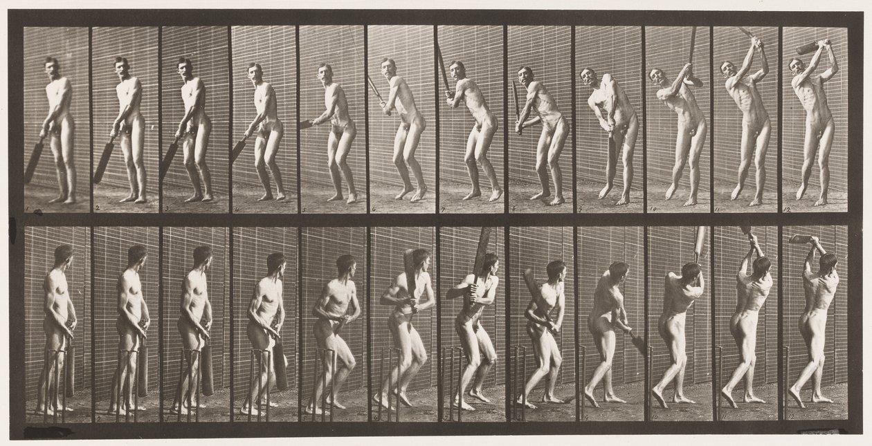 Cricket; Batting; Drive by Eadweard Muybridge