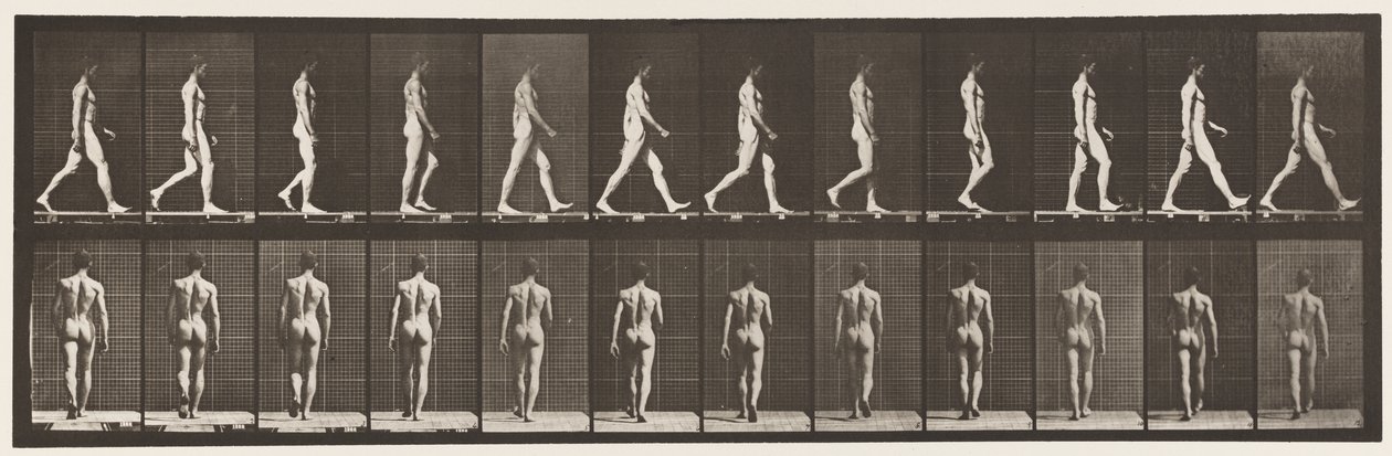Walking by Eadweard Muybridge