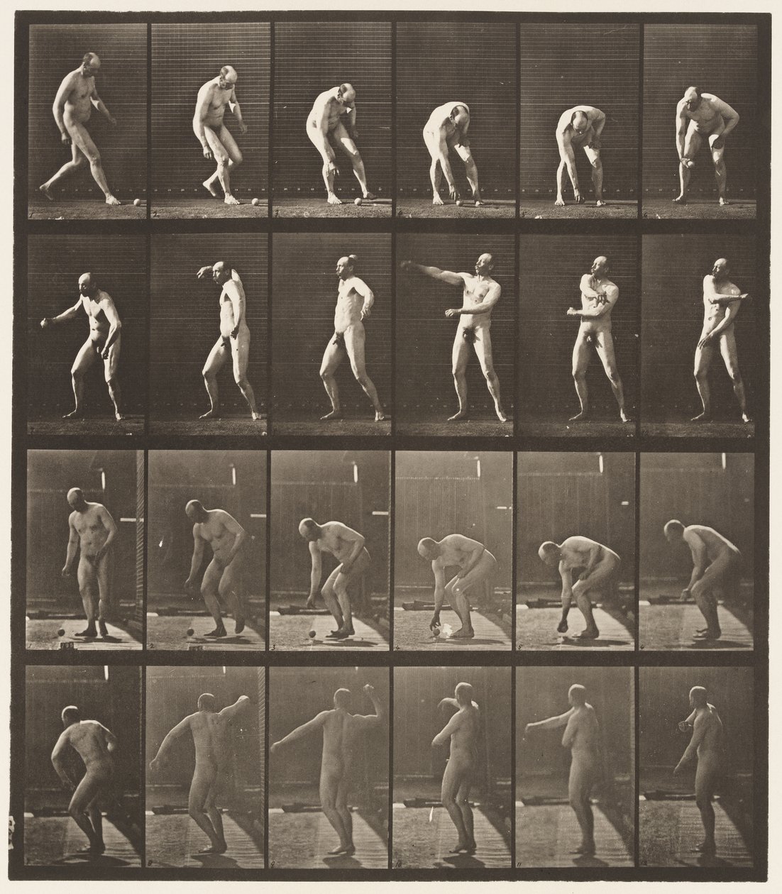 Picking Up A Ball and Throwing It by Eadweard Muybridge