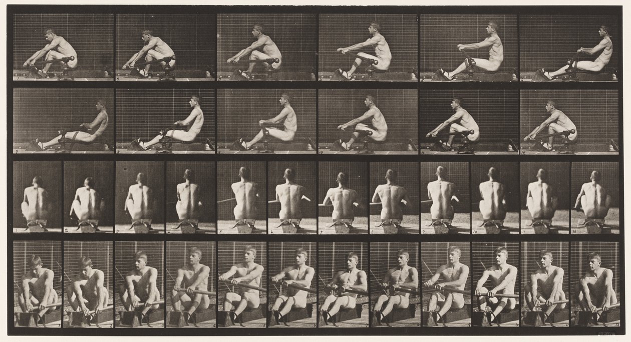 Plate 327. Rowing by Eadweard Muybridge