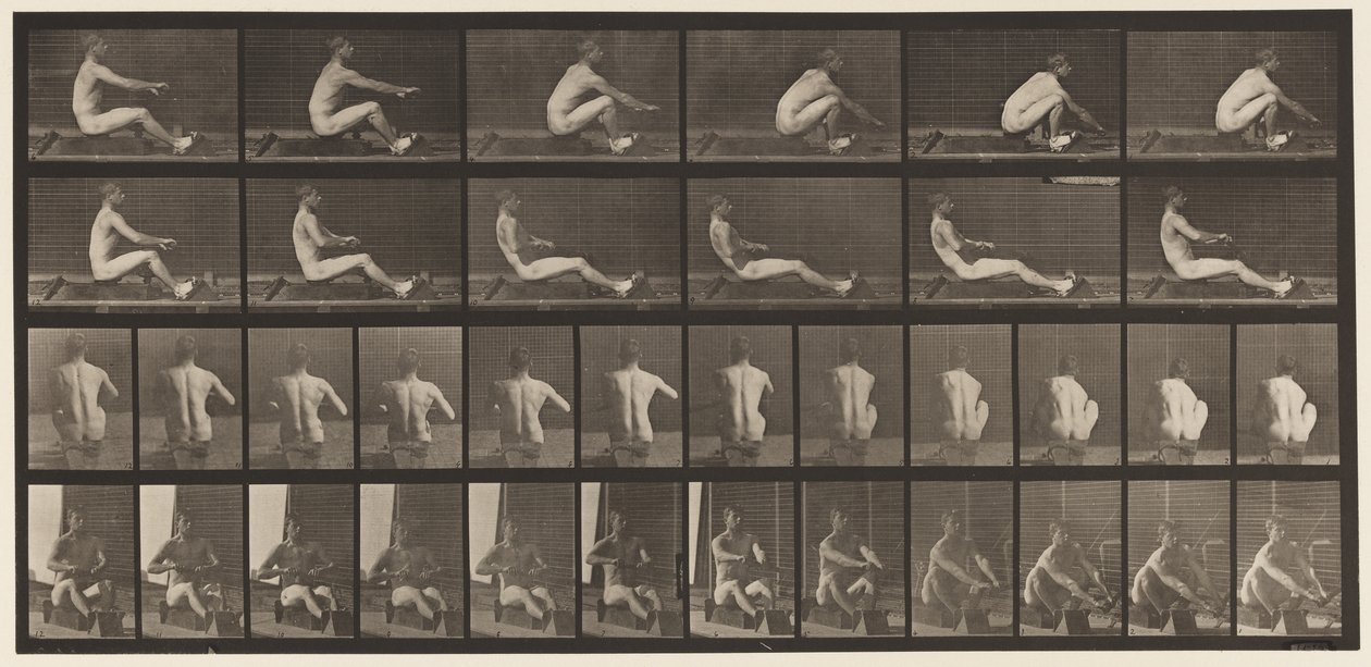 Plate 328. Rowing by Eadweard Muybridge