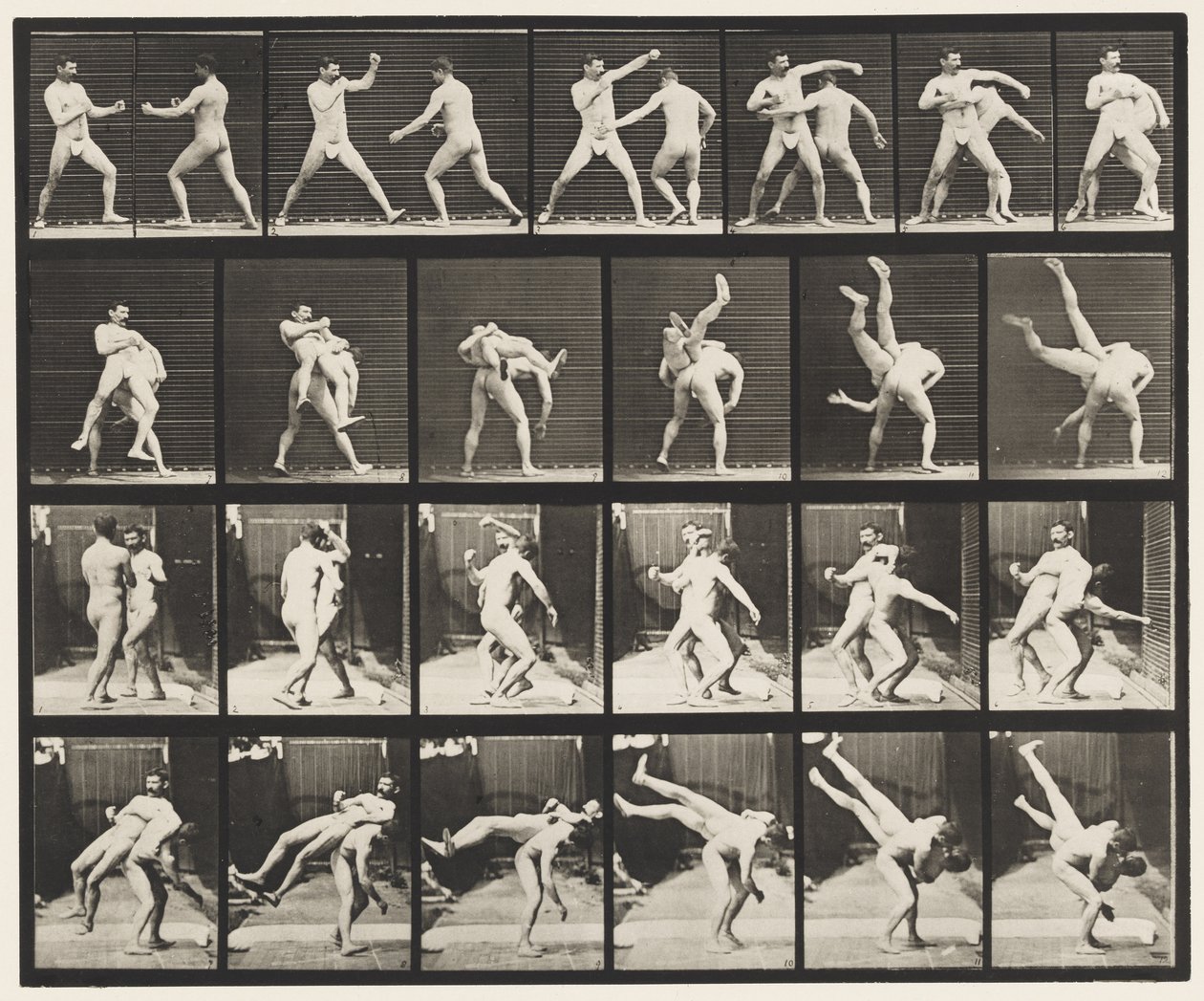 Plate 332. Boxing; Cross-Buttocks by Eadweard Muybridge