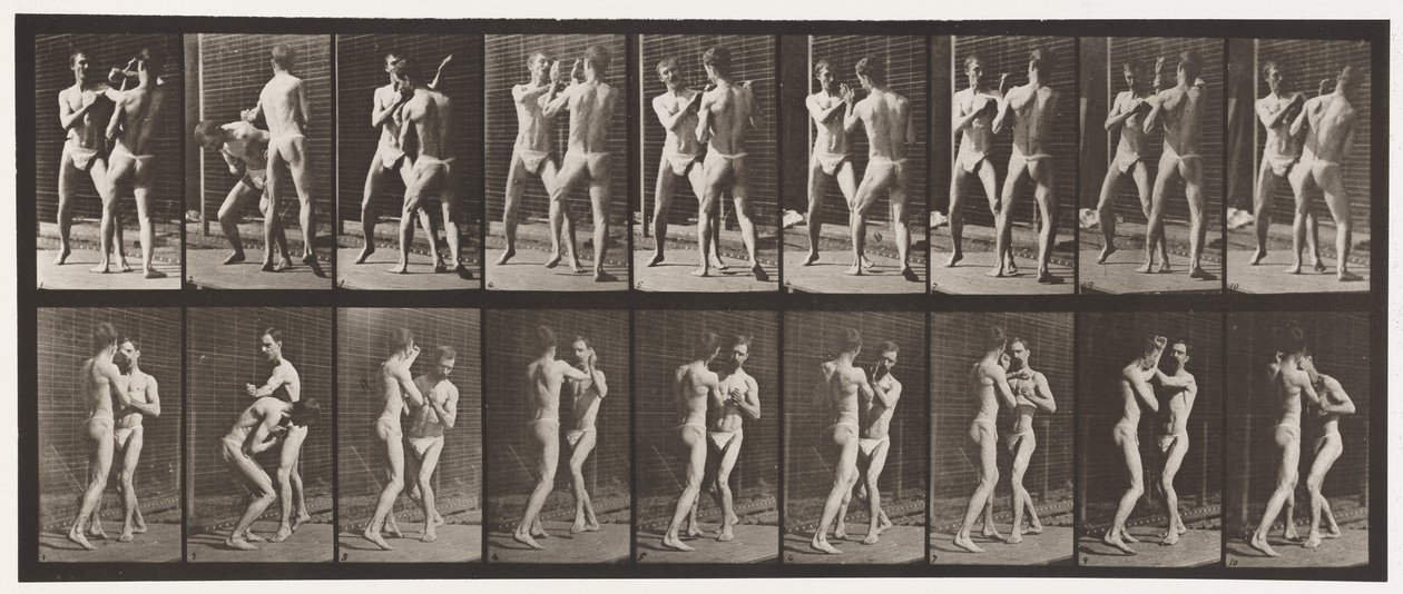 Boxing; Open Hand by Eadweard Muybridge