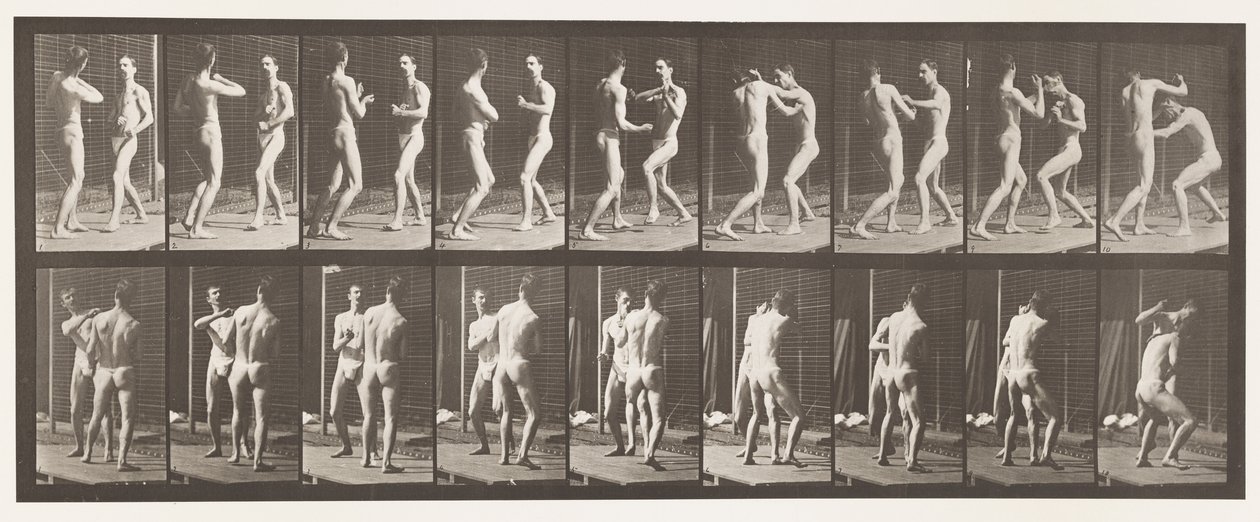 Boxing; Open Hand by Eadweard Muybridge