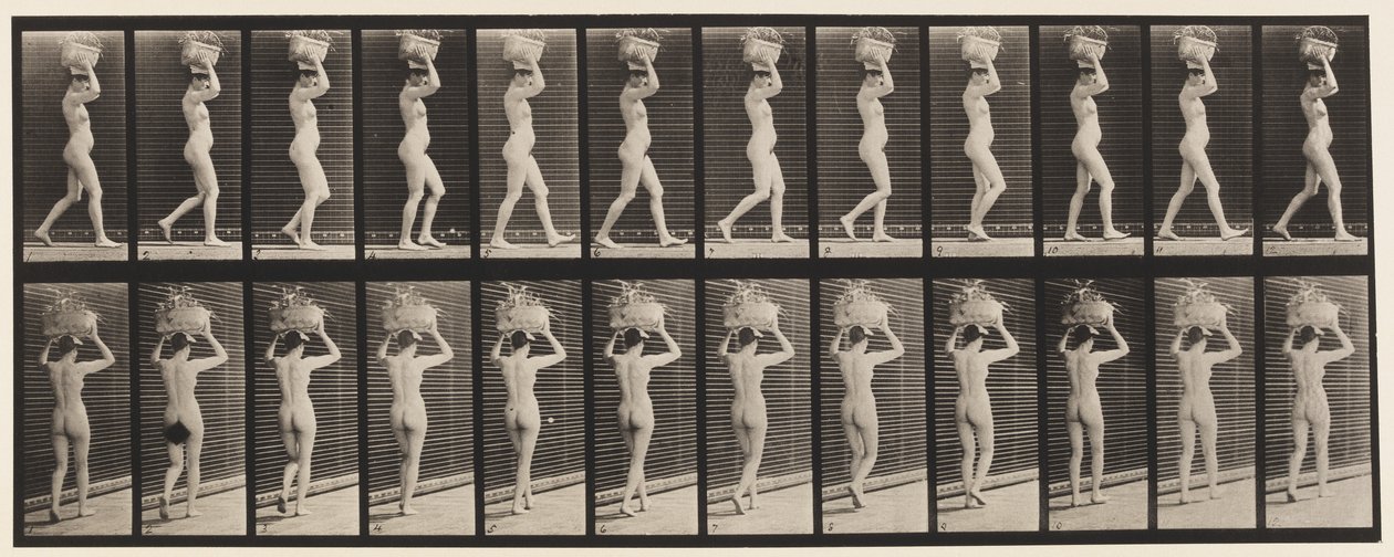 Walking, 14-lb. Basket on Head, Hands Raised by Eadweard Muybridge