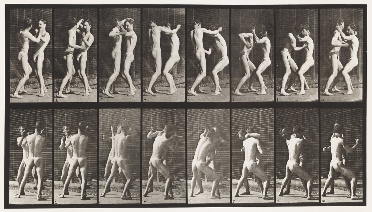 Boxing; Open Hand by Eadweard Muybridge