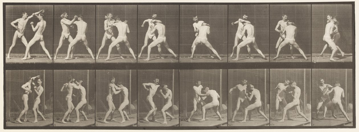 Boxing; Open Hand, 1872-1885 by Eadweard Muybridge