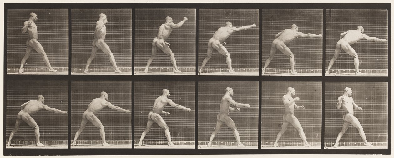 Plate 344. Striking a Blow (Right Hand) by Eadweard Muybridge