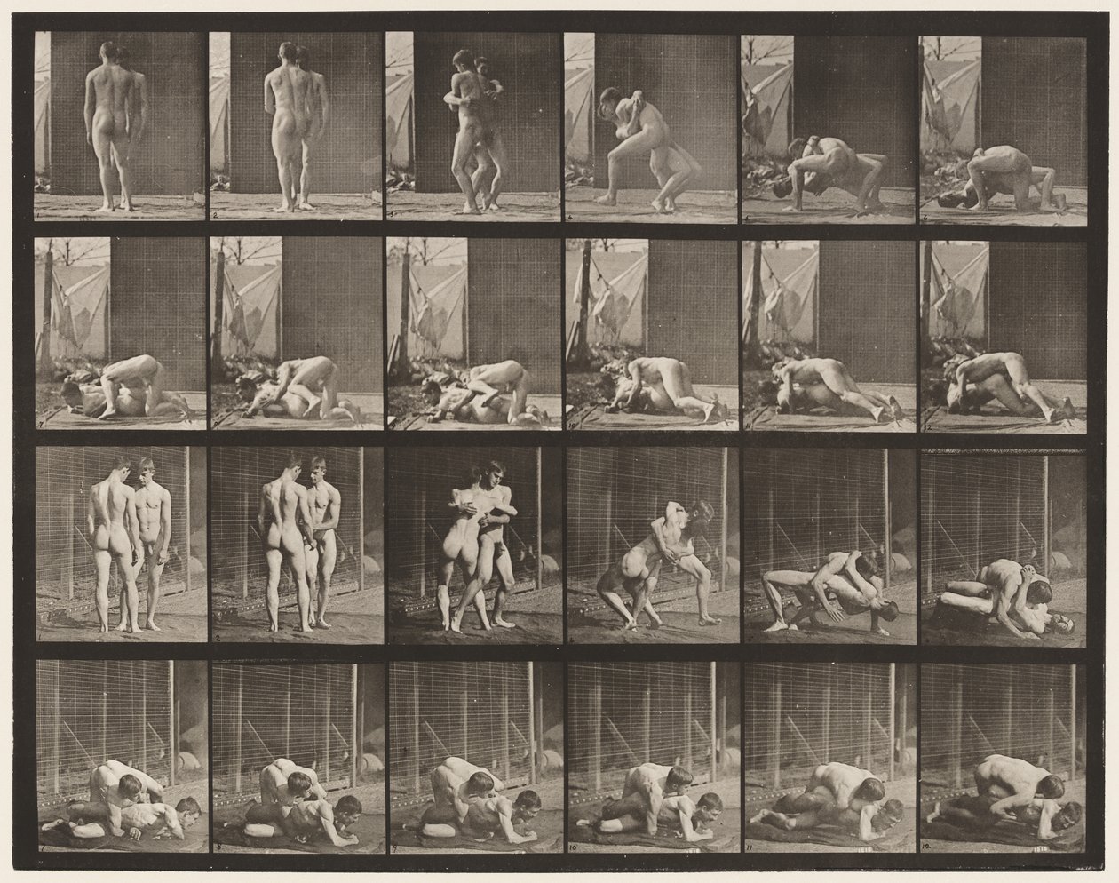 Plate 346. Wrestling, Lock by Eadweard Muybridge