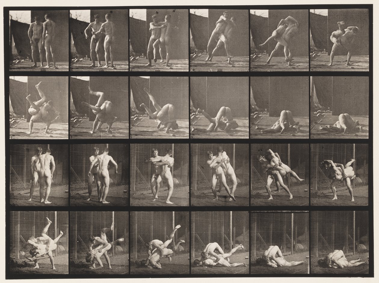 Wrestling, Graeco-Roman by Eadweard Muybridge