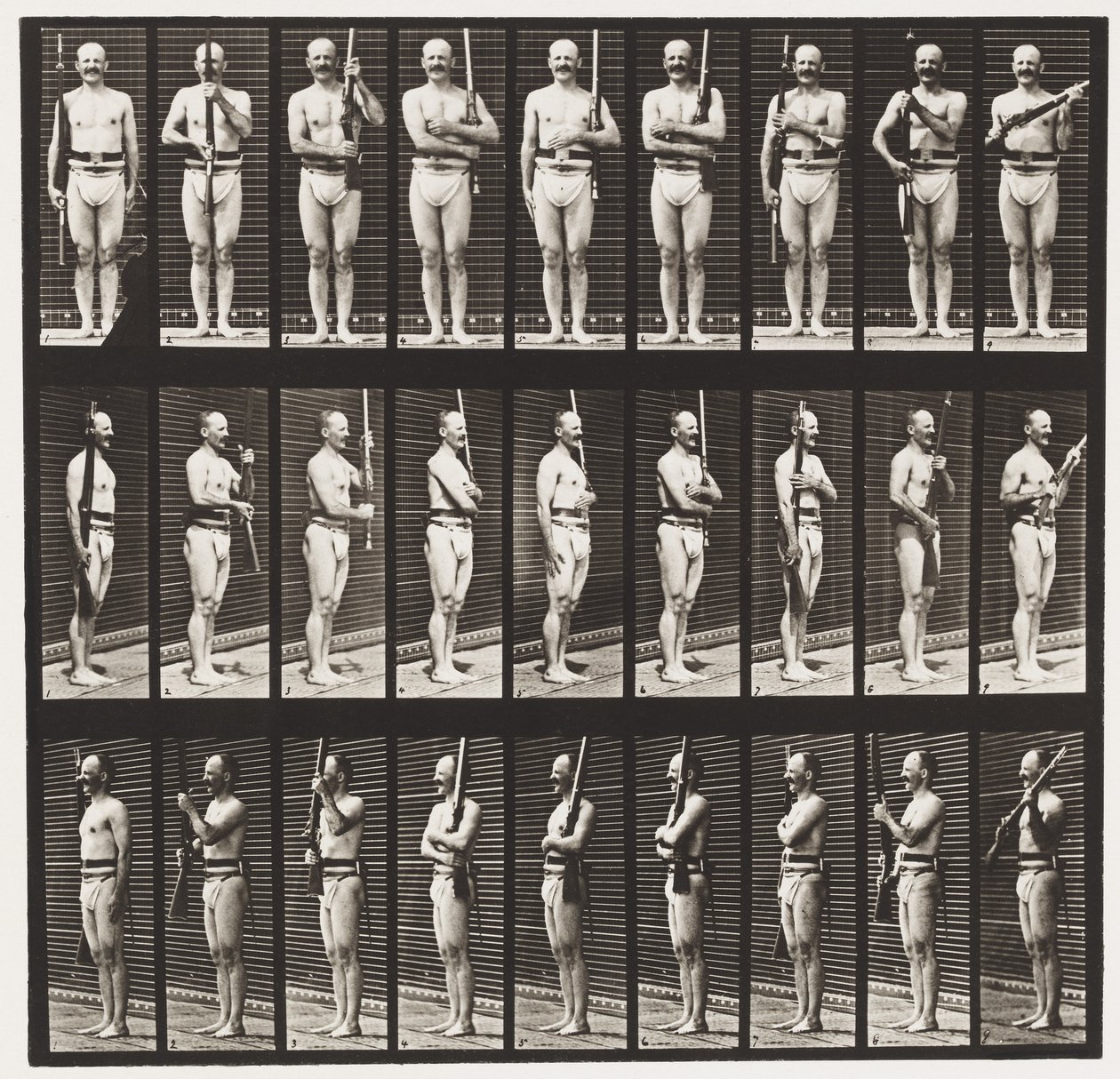 Support Arms and Arms Port by Eadweard Muybridge