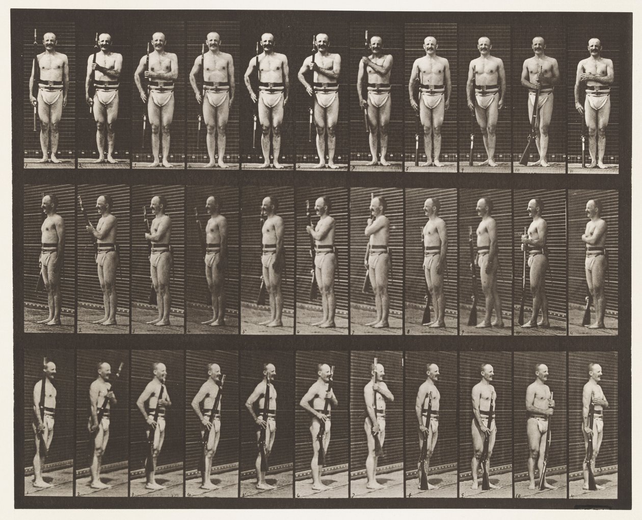 Carry Arms, Parade Rest, and Trail Arms by Eadweard Muybridge