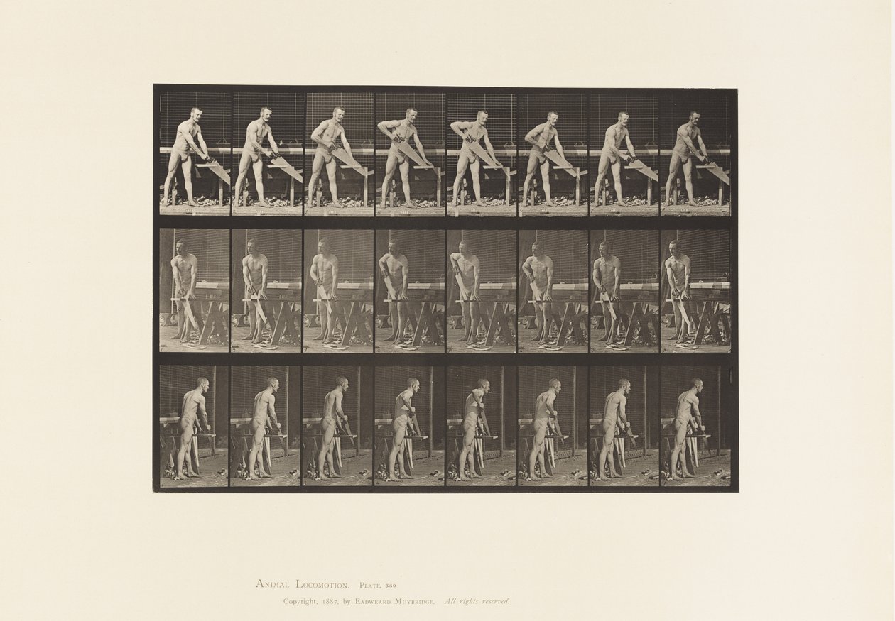Carpenter, Sawing by Eadweard Muybridge