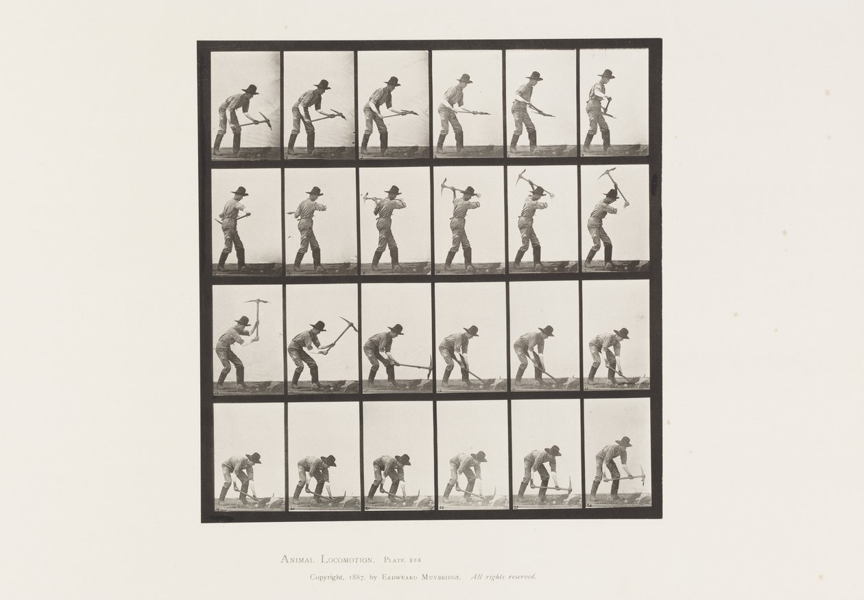 Miner Using a Pick by Eadweard Muybridge