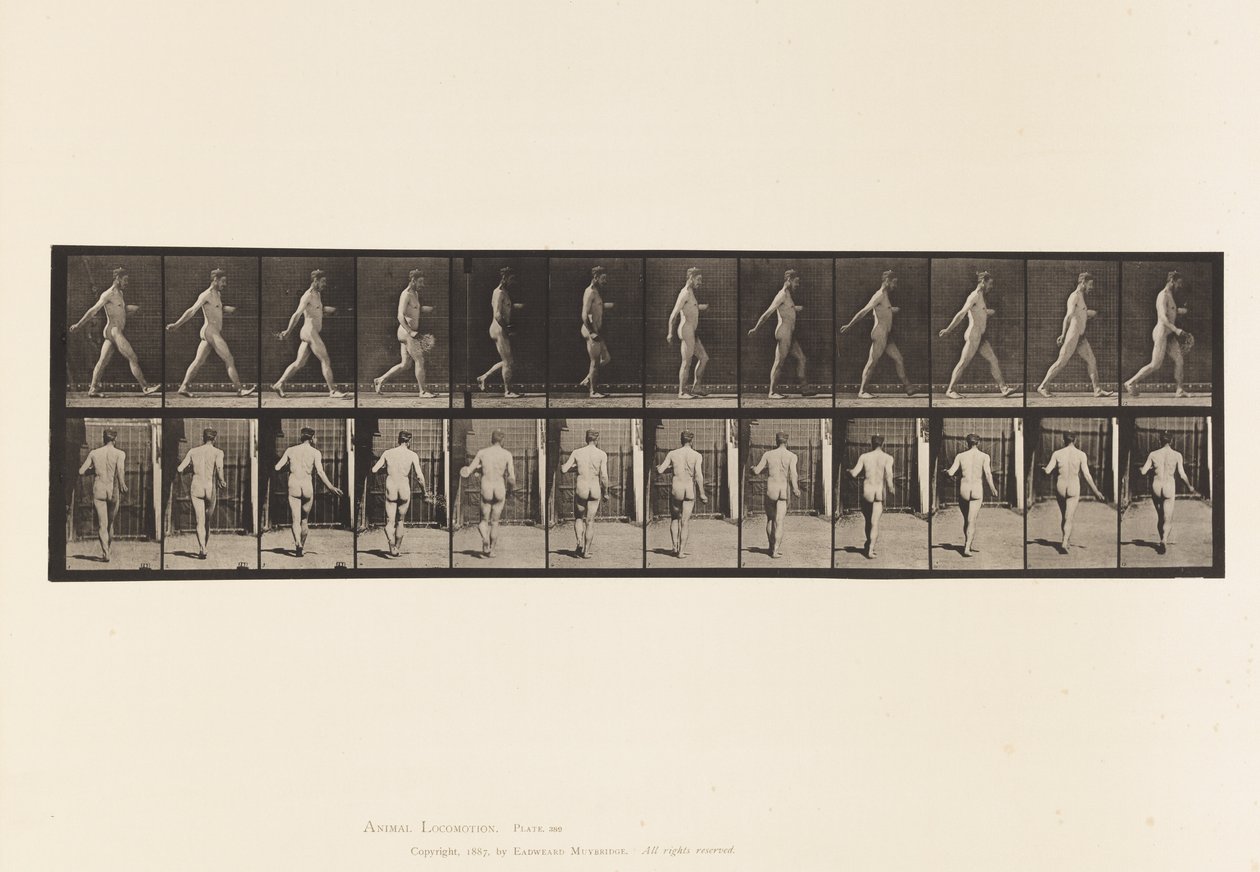 Farmer, Scattering Seed by Eadweard Muybridge