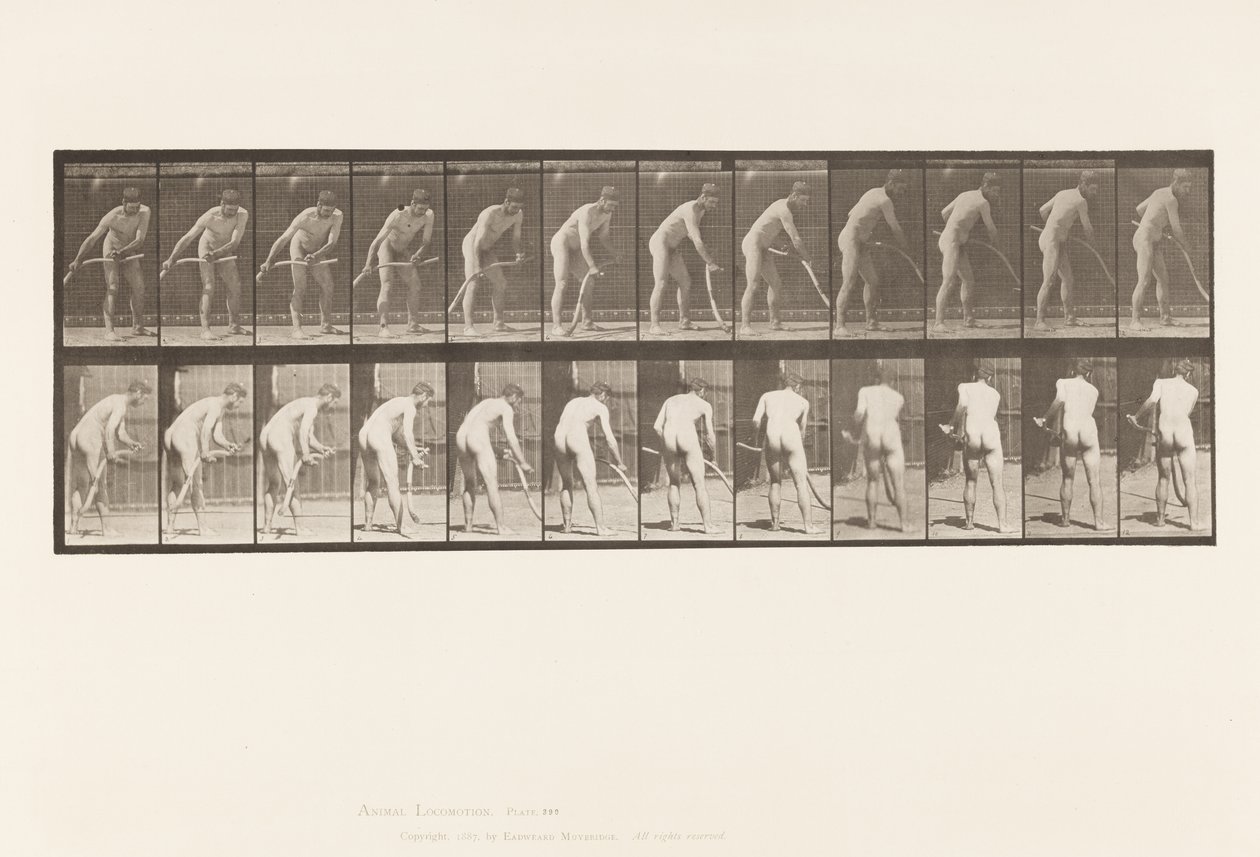 Farmer, Mowing Grass by Eadweard Muybridge