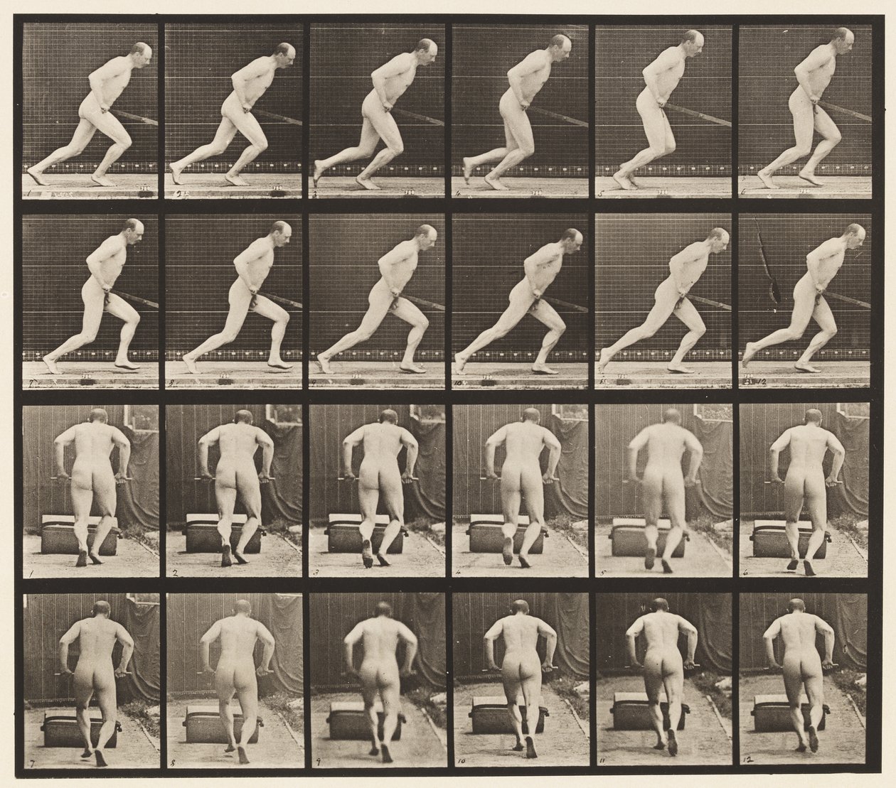 Pushing a Garden Roller by Eadweard Muybridge