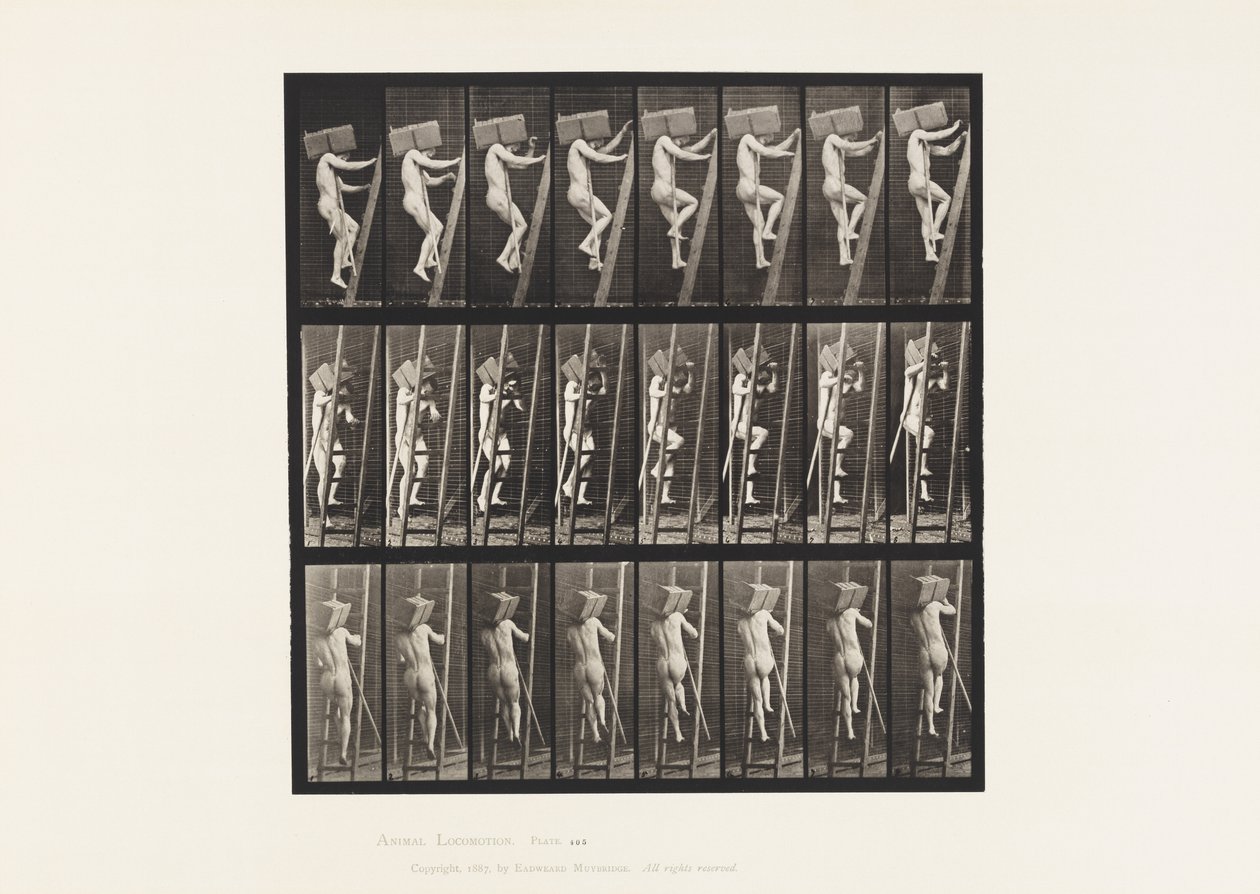 Carrying Hand of Bricks up a Ladder by Eadweard Muybridge