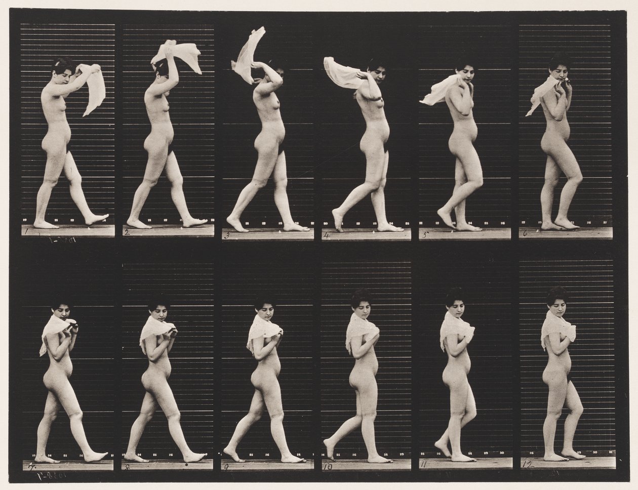 Plate 40. Walking, Throwing Handkerchief Over Shoulders by Eadweard Muybridge