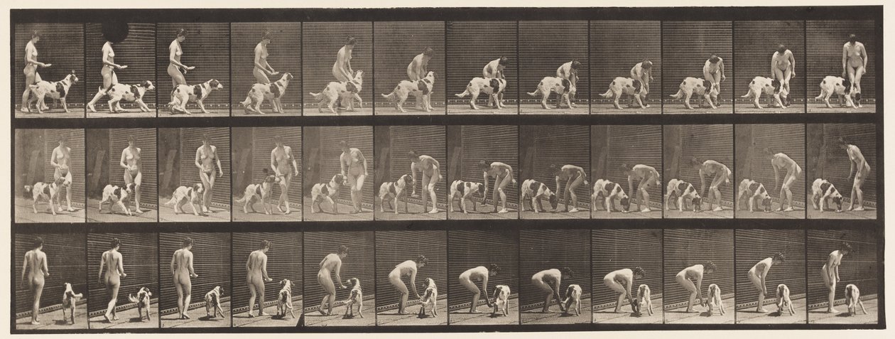 Feeding a Dog by Eadweard Muybridge